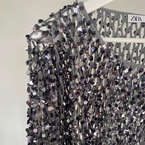 Zara Sequin Crop Sweater
